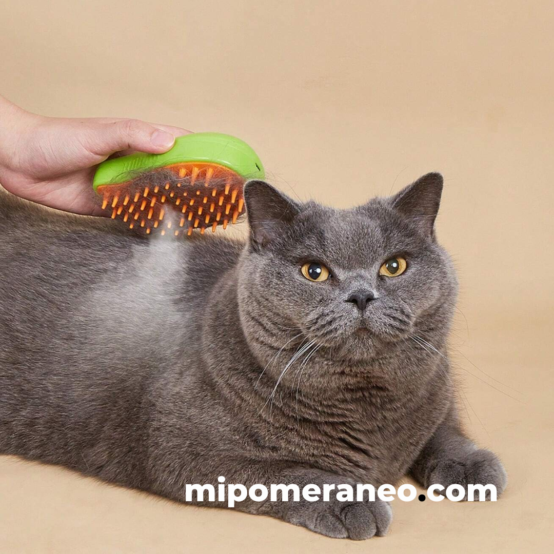 Steamy Cat Brush Cepillo A Vapor Para Gatos Y Perros, Recarg